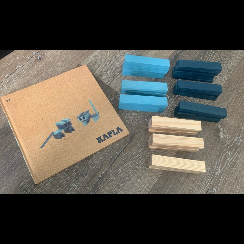 50 Kapla blocks and book